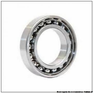 Backing ring K147766-90010        Rolamentos AP para aplicação industrial
