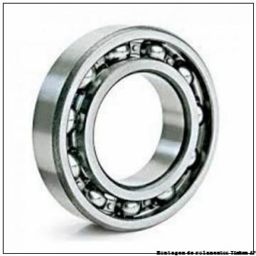 Axle end cap K85521-90011 Backing ring K85525-90010        Rolamentos AP para aplicação industrial